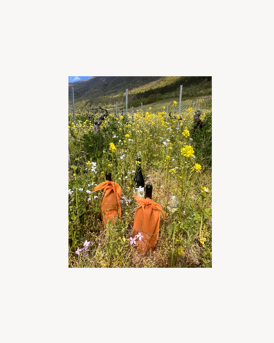 Bojagi Bag Wine